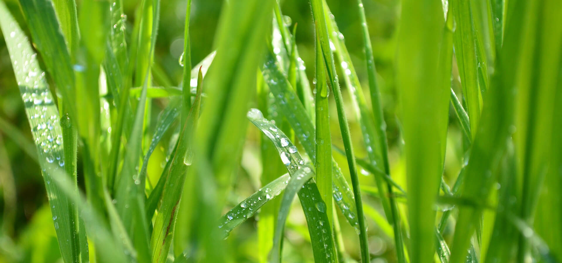 #slidecaption2 Data & Decision Support