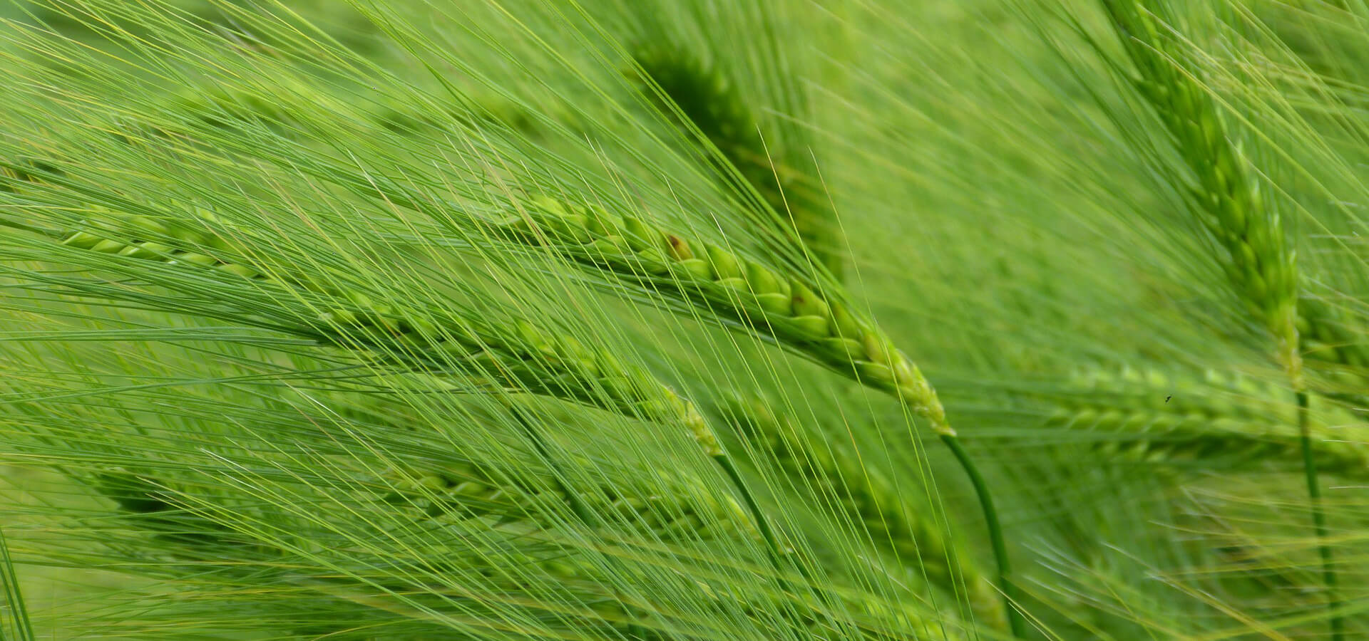 Innovation & Training